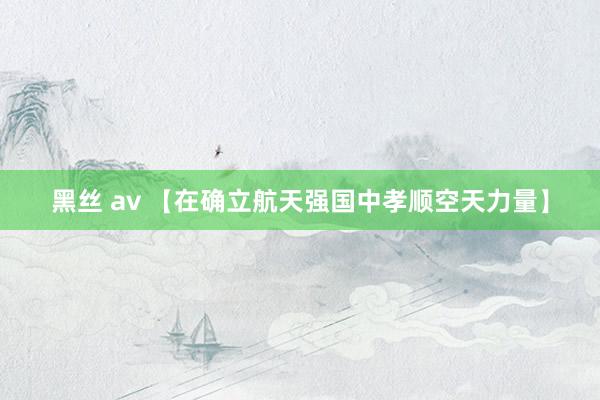 黑丝 av 【在确立航天强国中孝顺空天力量】
