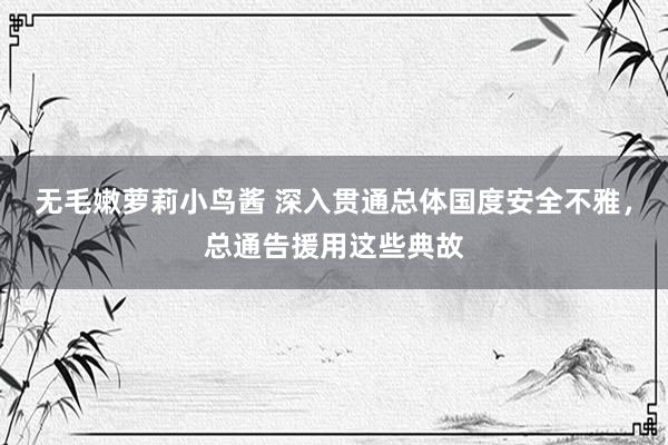 无毛嫩萝莉小鸟酱 深入贯通总体国度安全不雅，总通告援用这些典故