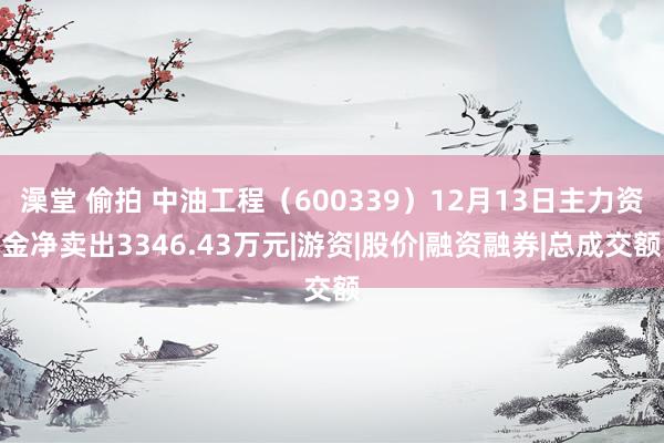澡堂 偷拍 中油工程（600339）12月13日主力资金净卖出3346.43万元|游资|股价|融资融券|总成交额