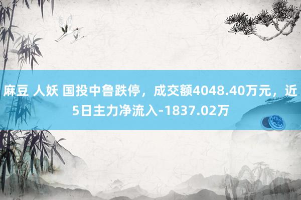 麻豆 人妖 国投中鲁跌停，成交额4048.40万元，近5日主力净流入-1837.02万