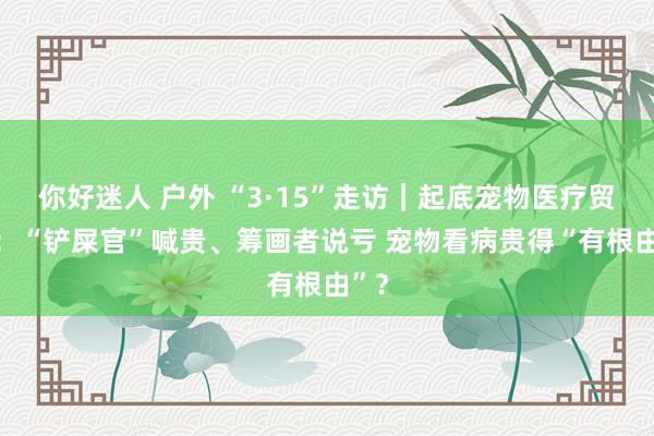 你好迷人 户外 “3·15”走访｜起底宠物医疗贸易 ：“铲屎官”喊贵、筹画者说亏 宠物看病贵得“有根由”？