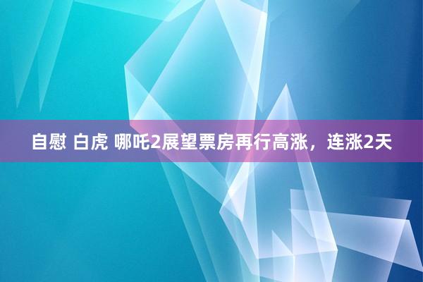 自慰 白虎 哪吒2展望票房再行高涨，连涨2天